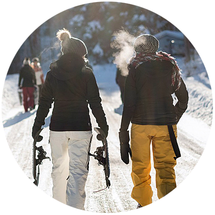 Vitamine, nos collections